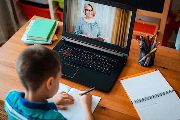 elev cursuri online