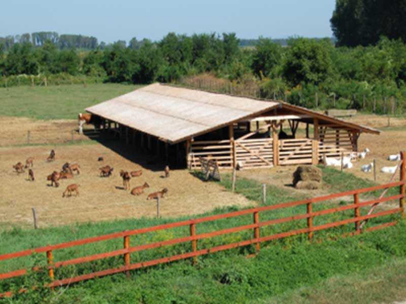 ferme-familie