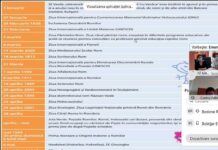 Webinar dedicat dezrobirii rromilor