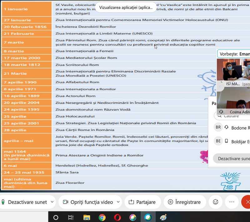 webinar-dezrobire