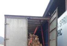 Peste 15 m.c. de material lemnos confiscat în Baia Sprie