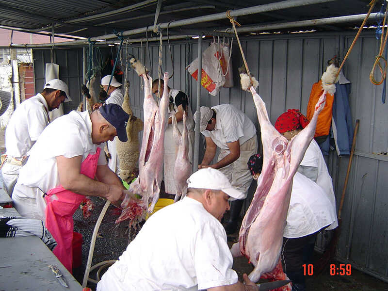 DSC00166