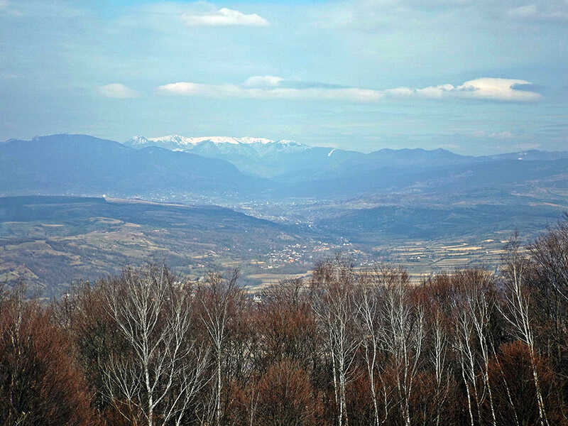 Fisculas Creasta de pe Preluci