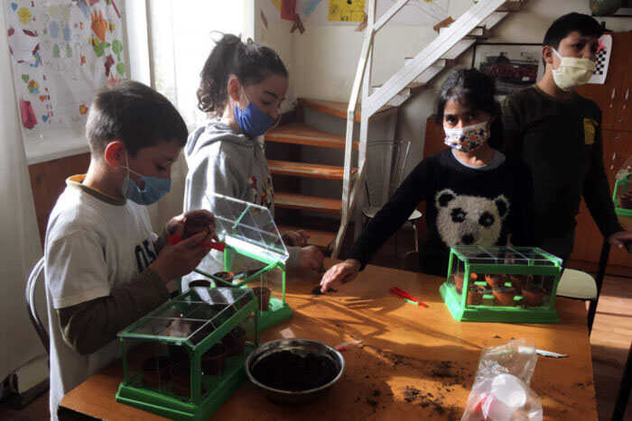 Stea1-scaled