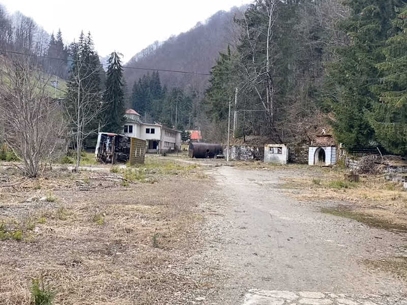 mina cavnic
