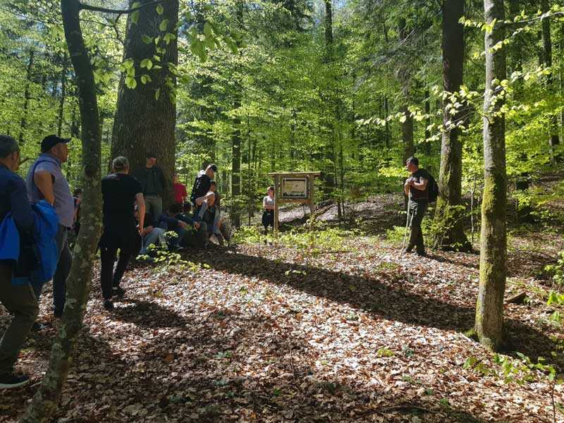 excursie-forestier