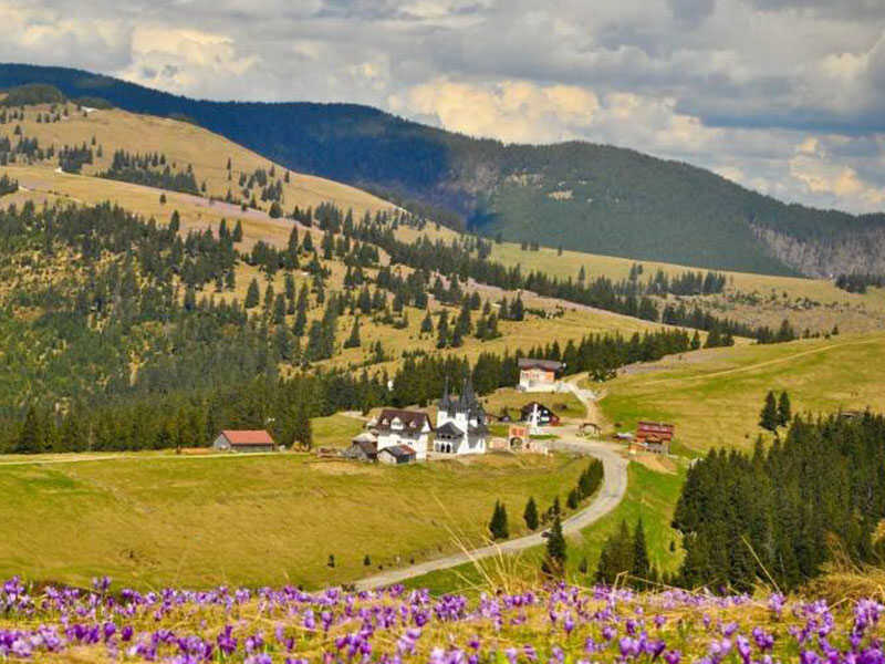 Pasul Prislop