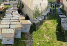 41.000 de pachete cu țigări confiscate și trei cetățeni români cercetați pentru contrabandă