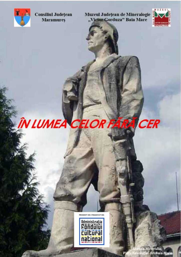 In-lumea-celor-fara-cer