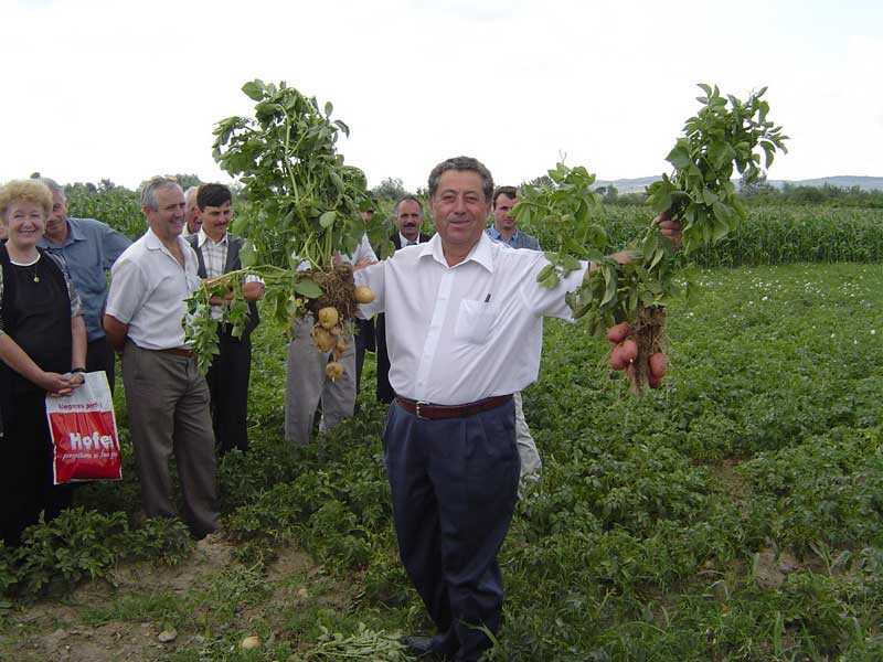 Agronomul Ioan Variu din Tăuţii Măgherăuş (cultivator de cartofi) Agronomul Ioan Variu din Tăuţii Măgherăuş (cultivator de cartofi)