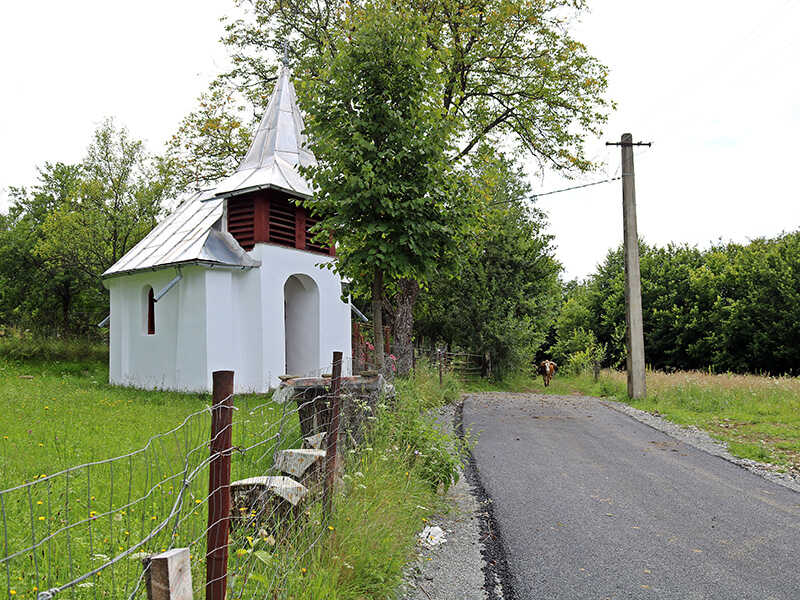 capeluta viseu mijloc