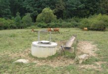 Gârdani, satul fără vaci de lapte
