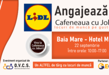 Lidl angajează la Cafeneaua cu Joburi Baia Mare