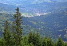 În Borșa • Apă, canalizare, extinderi și tratare