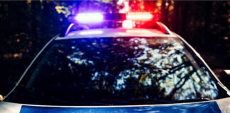 Bărbat de 61 de ani, mort după ce a fost lovit de un copac