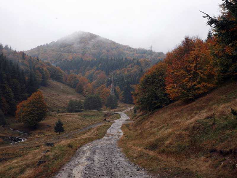 toamna-budesti-2