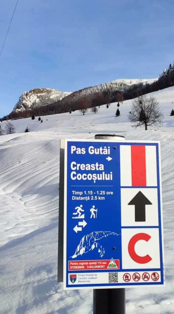 Revitalizare