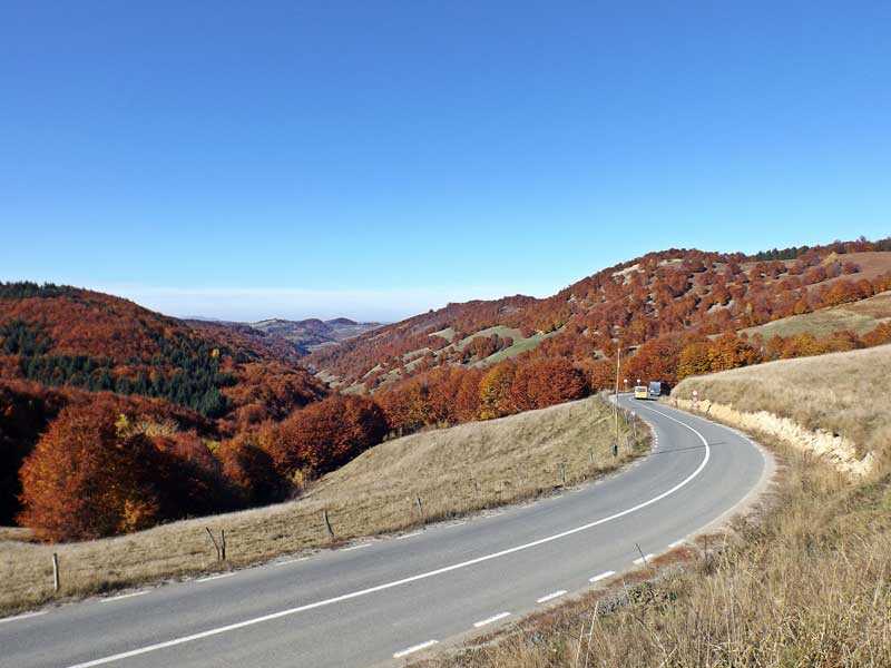 toamna-drum-Suciu