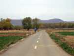 drumuri in camp