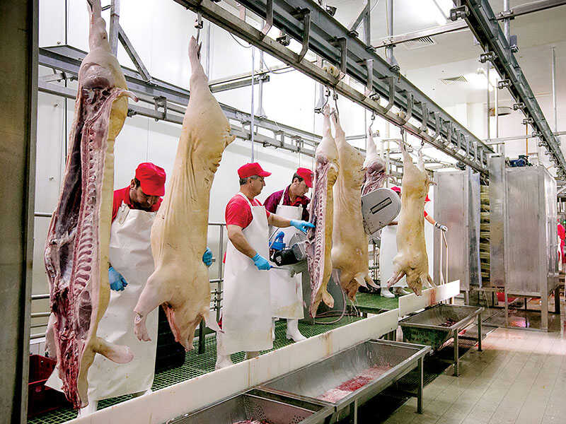 procesare produse agricole
