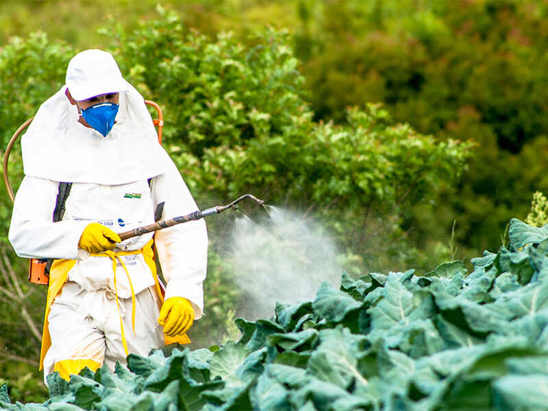 tratamente cu pesticide