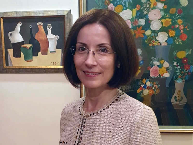 anca minodora costin hendea