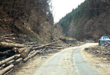 Botiza – Groşii Ţibleşului – plânge drumul forestier asfaltat…