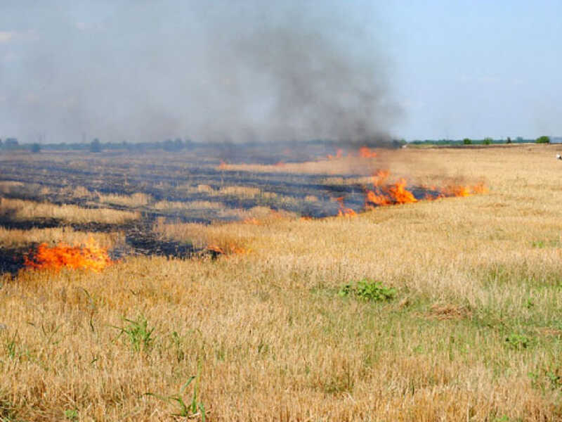 incendiu pajiste