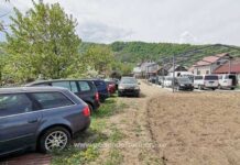 Rețea specializată în migrațiune ilegală. Destructurată