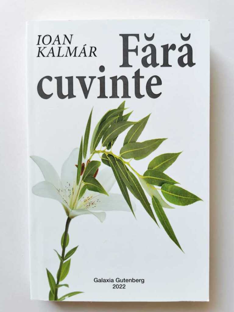 Fara-cuvinte-
