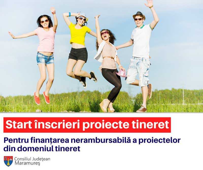 Proiecte