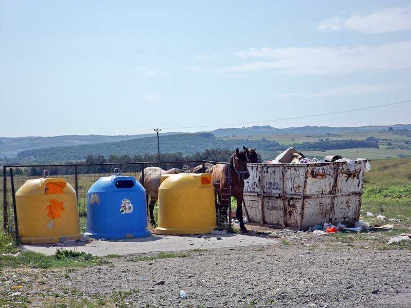 cai-drusal-calea-miresului