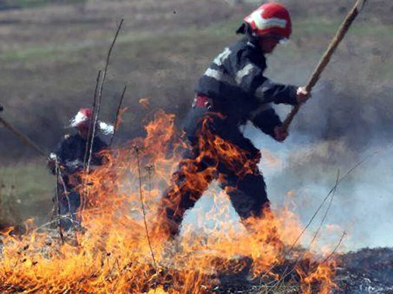 incendiu vegetatie