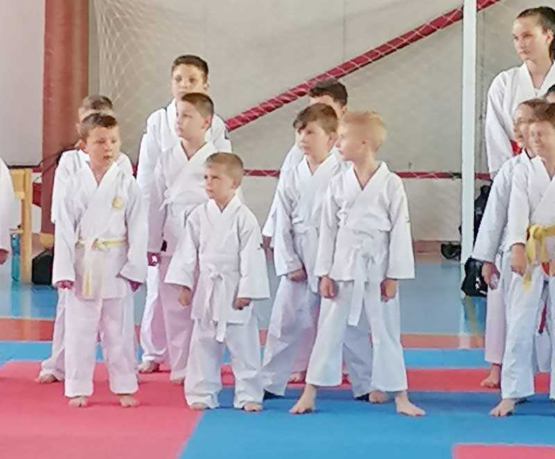 karate-farcasa