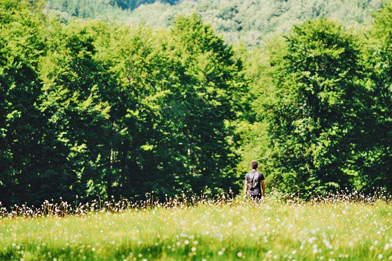 seară-de-filme-despre-natură