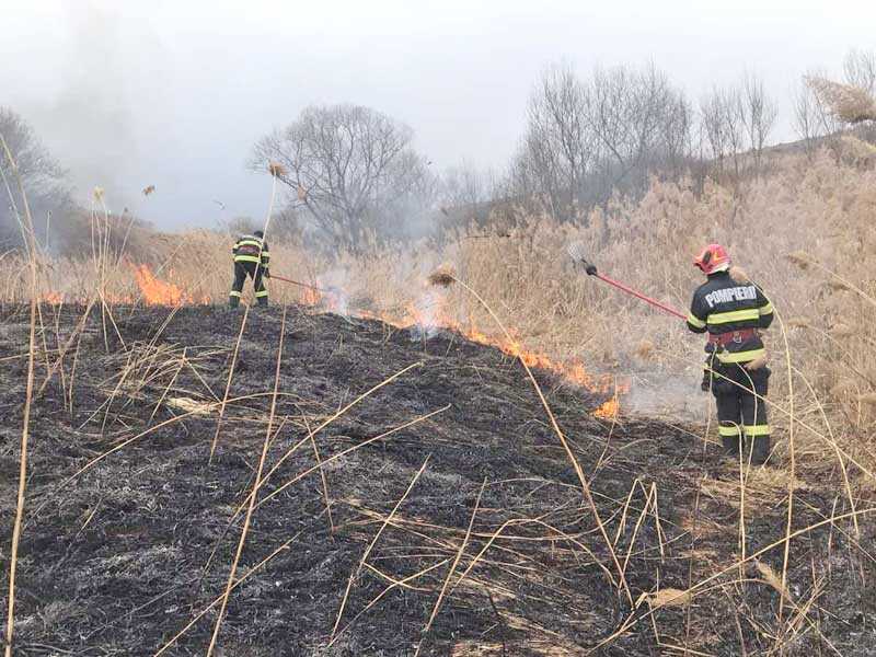 Incendii-de-vegetație
