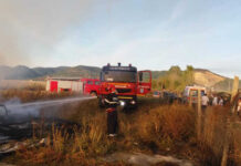 Primarul orașului Seini: ”Incendiile de vegetaţie ne costă pe fiecare dintre noi”