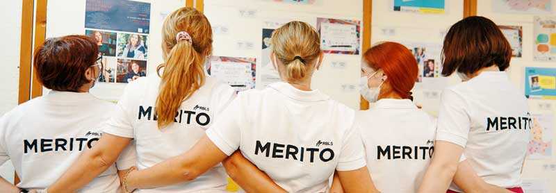 profesori-merito