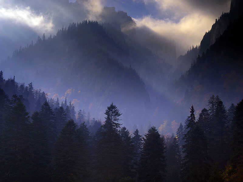 Valea Crapaturii and Rock of the King, Piatra Craiului National
