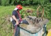 Bărbat decedat după ce a căzut într-o fântână, la Iadăra
