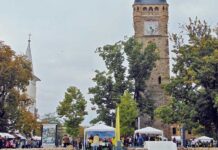 Festivalul de Ştiinţă a surprins prin prezență