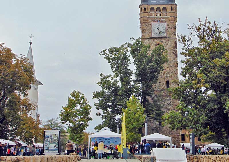 science-festival