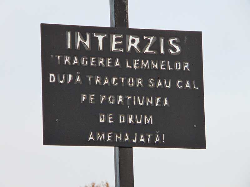 anunt-logic