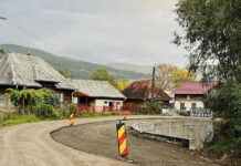 Ziduri de sprijin pentru prevenirea inundaţiilor în Rona de Jos