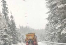 Zăpadă în Pasul Prislop