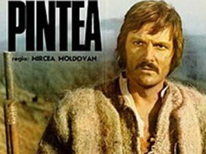 Pintea