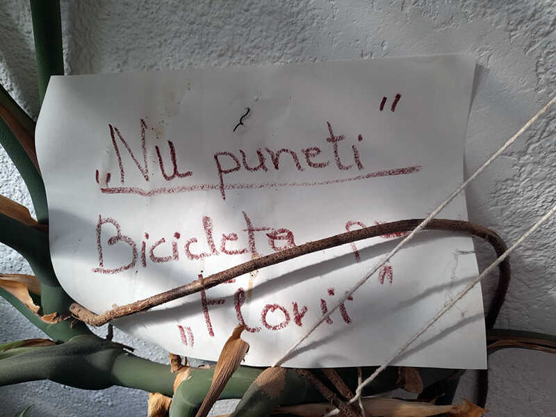 bicicleta pe florii