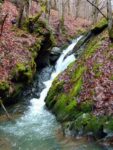 cascada-Inau-4