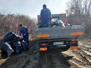 ecologizare lapus