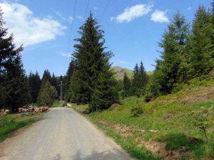 drum budesti sus